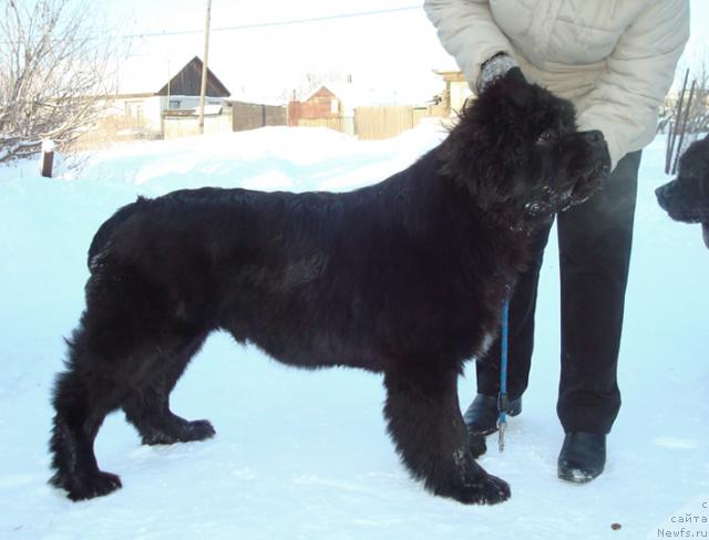 Фотография № 36694