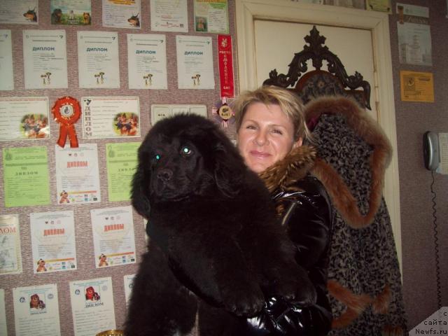 Фото: ньюфаундленд Осенний Поцелуй, и Алла