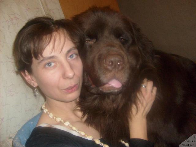 Фото: ньюфаундленд Фанньюф Акудзява Назаровна, Оксана Волкова