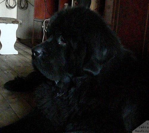 Фотография № 36800