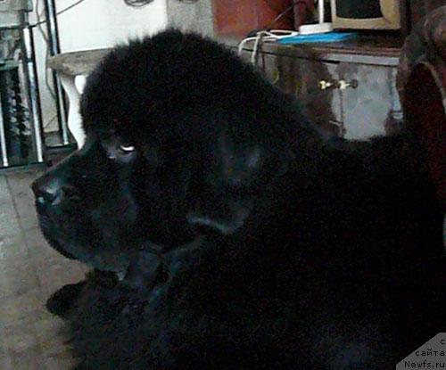 Фотография № 36801