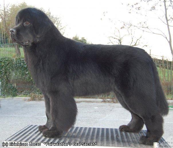 Фотография № 36883