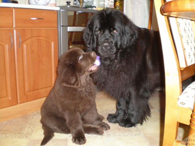 Фотография № 36890