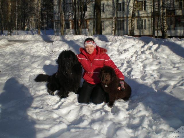 Фото: ньюфаундленд Чанси из Золотого Треугольника, Татьяна Розанова, ньюфаундленд Черный Шарм Ангельская Красота (Chernyi Sharm Angel'skaya Krasota)