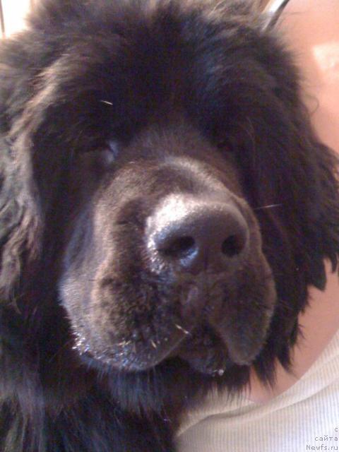 Фотография № 36916