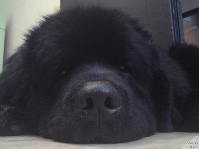 Фотография № 36922