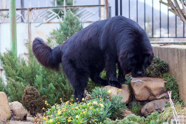 Фотография № 36960