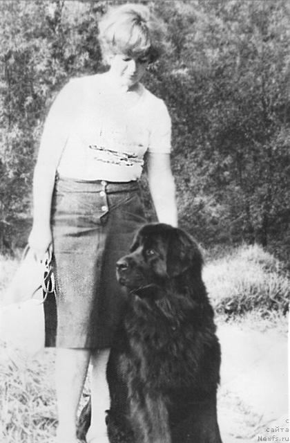 Фото: ньюфаундленд Айна Еви