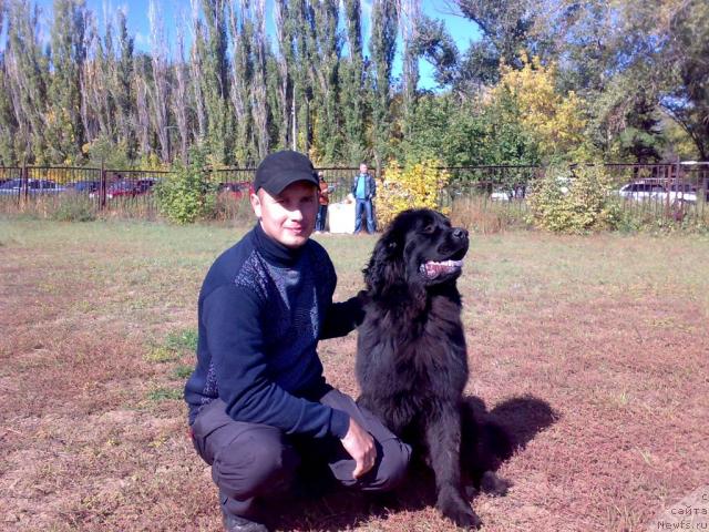 Фото: Сергей Костяев