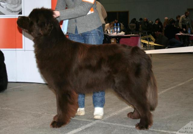 Фотография № 37016