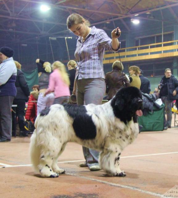 Фотография № 37064