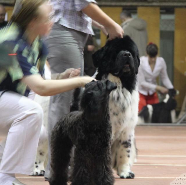 Фотография № 37066