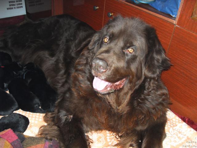 Фотография № 37141