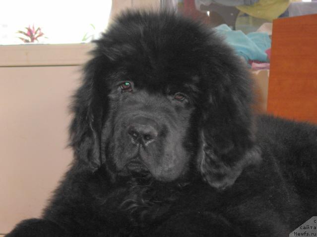 Фотография № 37201