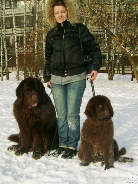 Фото: ньюфаундленд Рич-Н-Бьютифул, с мамой и Супер Премиум Бест Белжен Ригардс