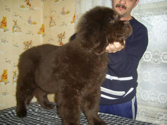 Фотография № 37258