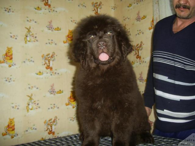 Фотография № 37260