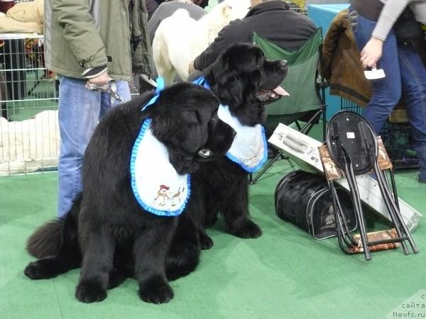 Фотография № 37283