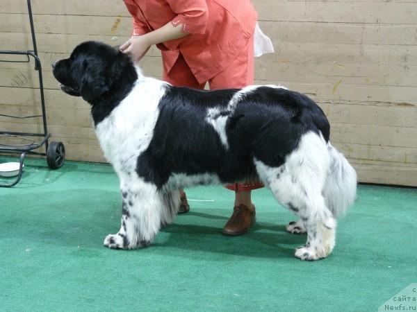 Фотография № 37284