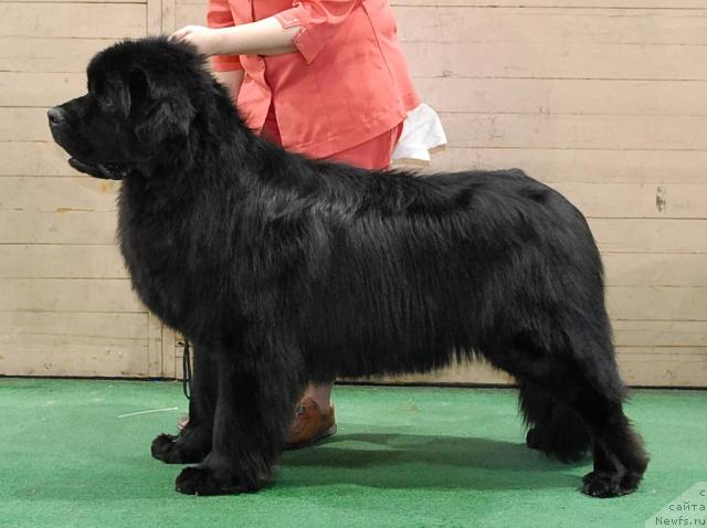 Фотография № 37354