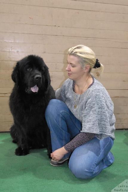 Фото: ньюфаундленд Митрофан с Берега Дона (Mitrofan s Berega Dona)