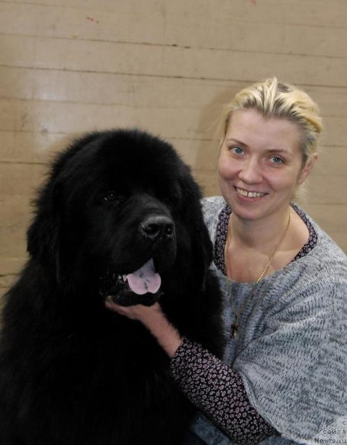 Фото: ньюфаундленд Митрофан с Берега Дона (Mitrofan s Berega Dona)