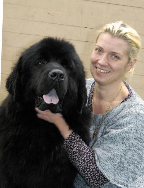 Фото: ньюфаундленд Митрофан с Берега Дона (Mitrofan s Berega Dona)