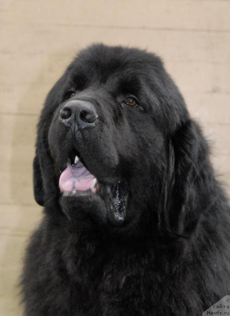 Фотография № 37359