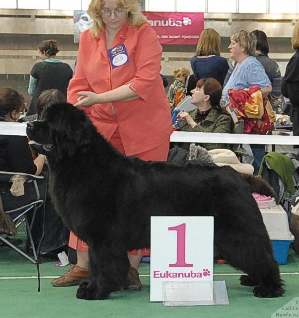 Фотография № 37363