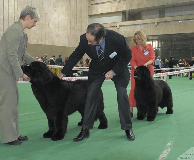 Фотография № 37365