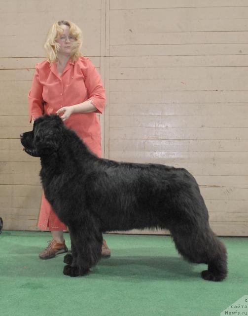 Фотография № 37368