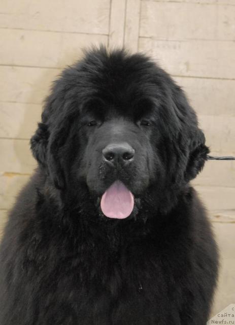 Фотография № 37370