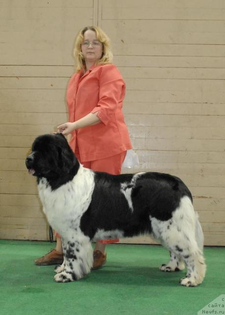 Фотография № 37376