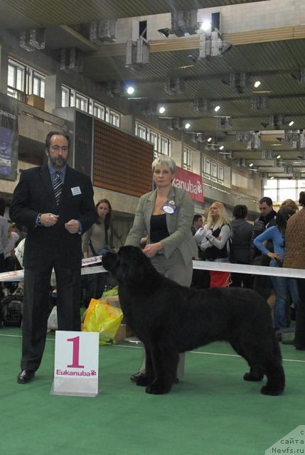 Фотография № 37378