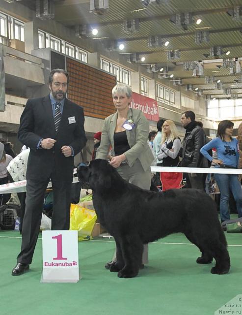 Фотография № 37379