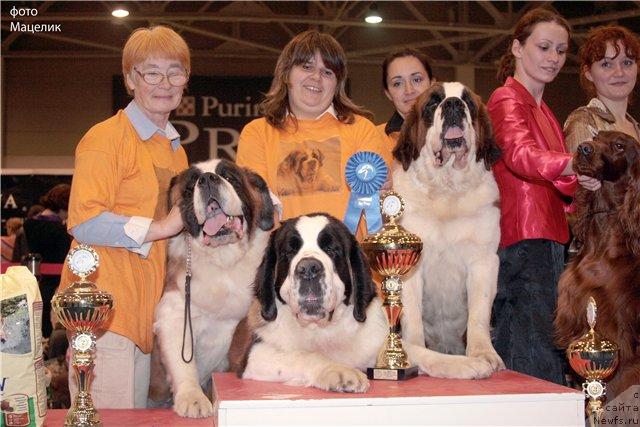 Фото: Наталья Озерянская