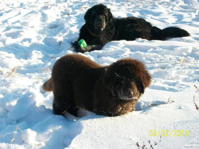 Фотография № 37533