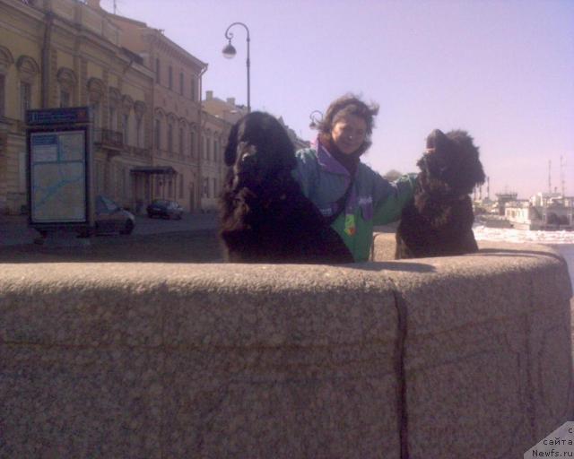 Фото: ньюфаундленд Ай Лав Рич (Ai Love Rich), [f20682], Анна Ковалёва