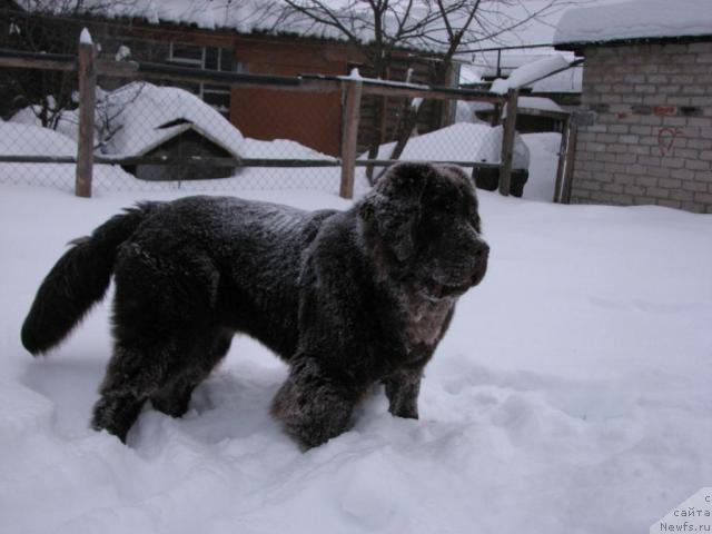 Фотография № 37579