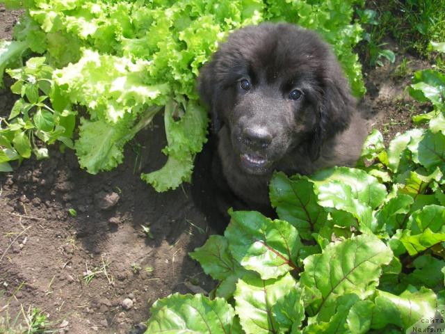 Фото: Ирина Плотникова