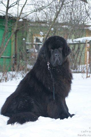 Фотография № 37668