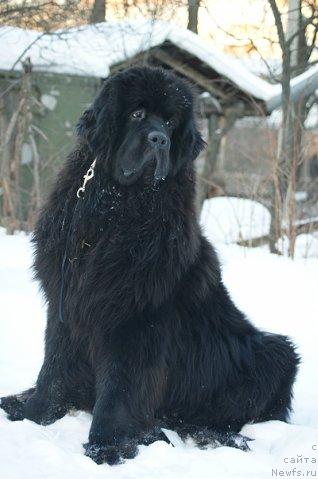 Фотография № 37669