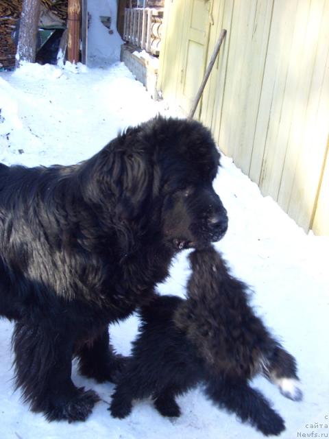 Фотография № 37725