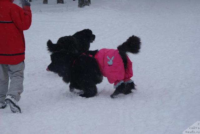 Фотография № 37755