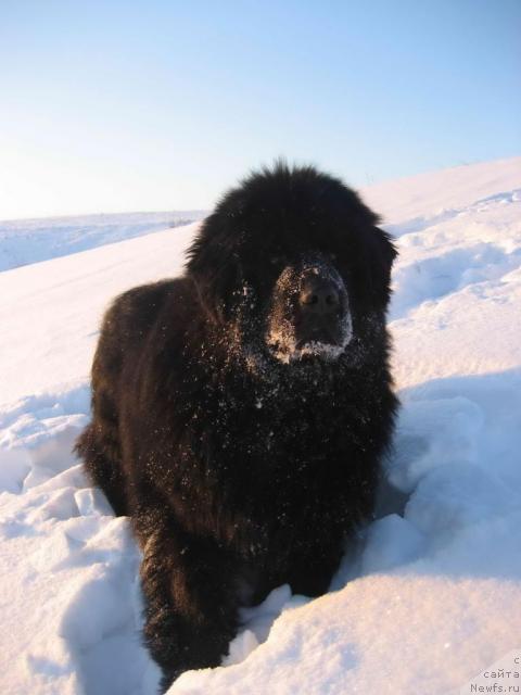 Фотография № 37795