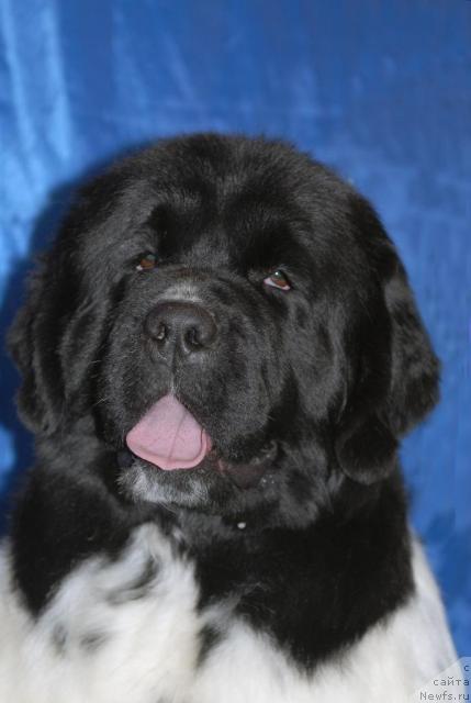 Фотография № 37923