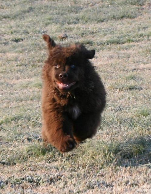 Фотография № 37965