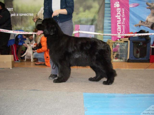 Фотография № 38004