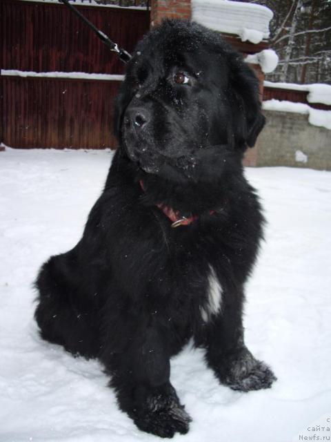 Фотография № 38006