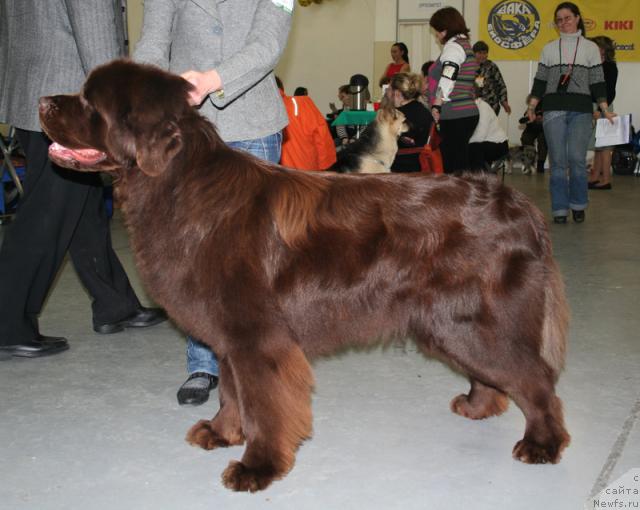 Фотография № 38019